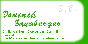 dominik baumberger business card